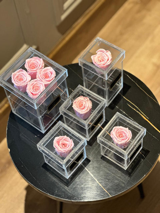 rose single box